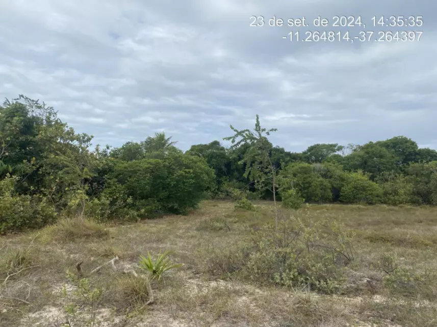 Terreno à venda em leilão