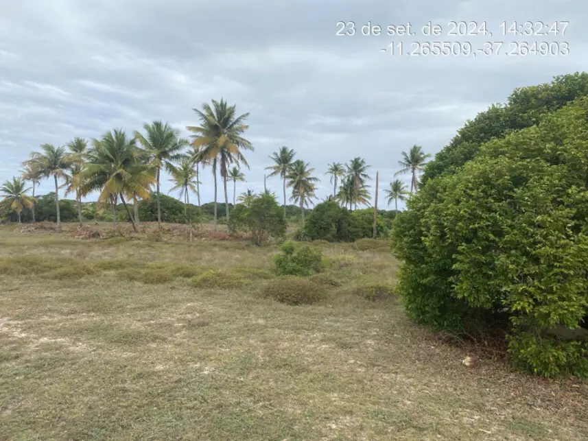 Terreno à venda em leilão
