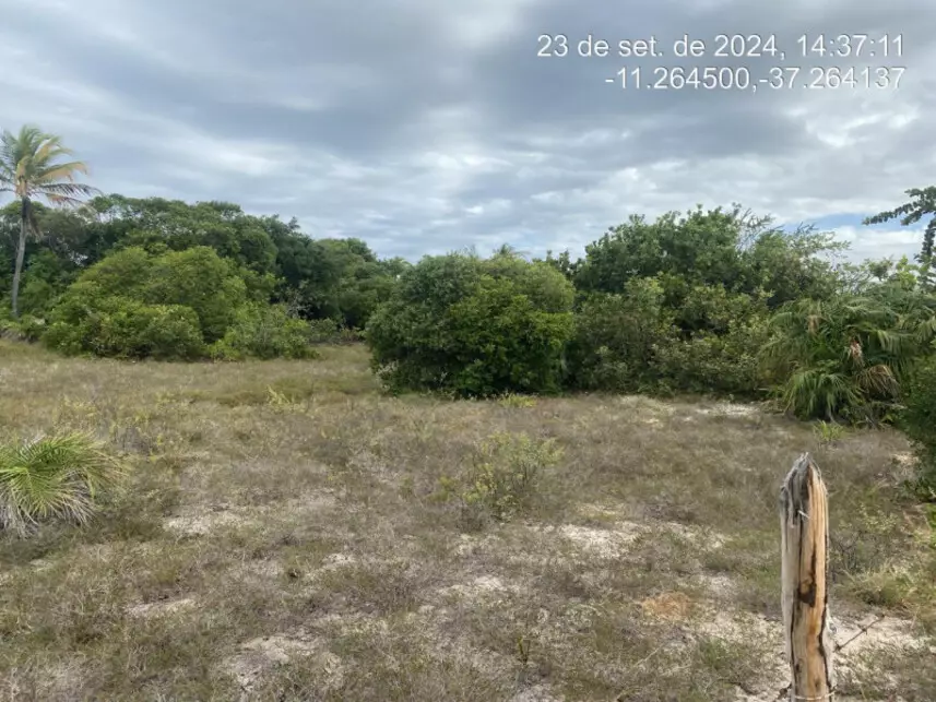 Terreno à venda em leilão