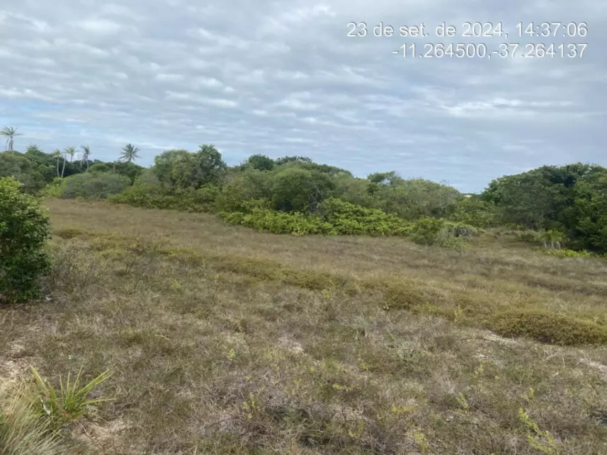 Terreno à venda em leilão