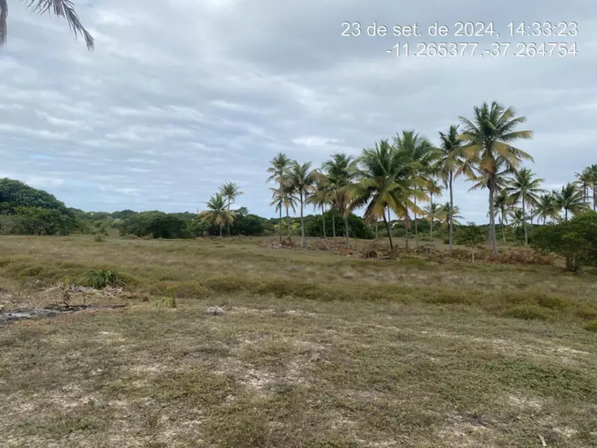 Terreno à venda em leilão