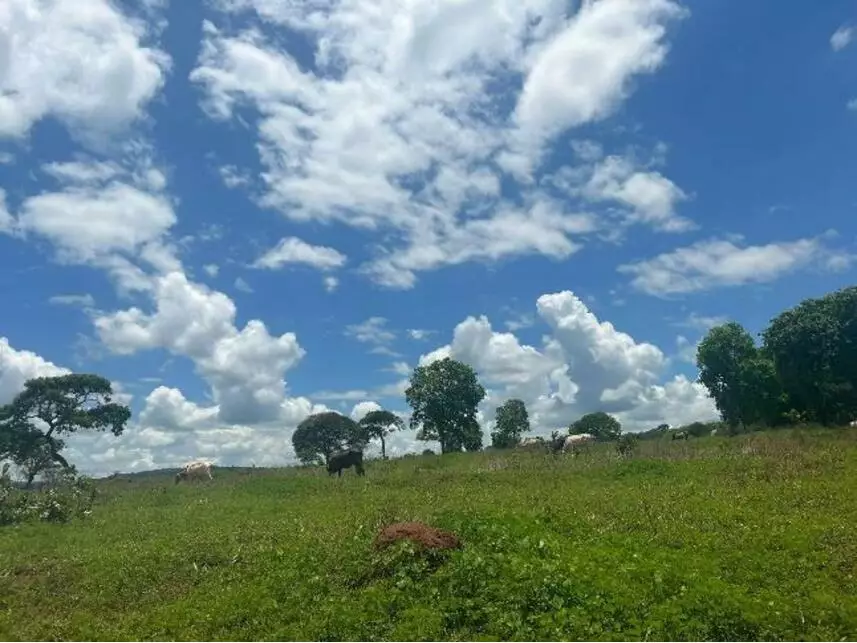 Área Rural à venda em leilão