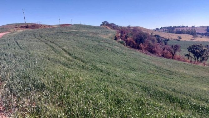 Imóvel Rural com Área de 72.600 m² (Sítio Alvorada) - Nova Tebas - PR