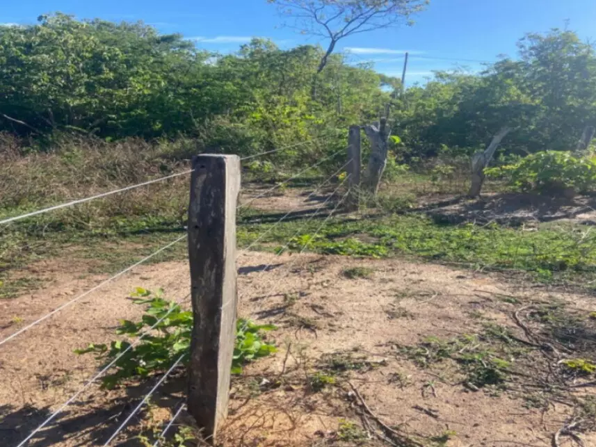 Área Rural à venda em leilão