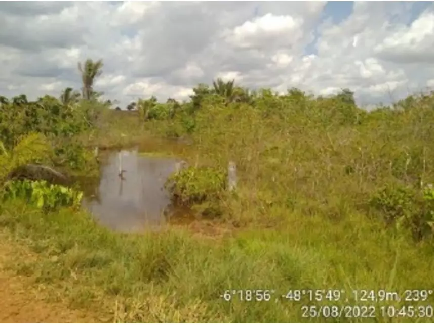 Área Rural à venda em leilão
