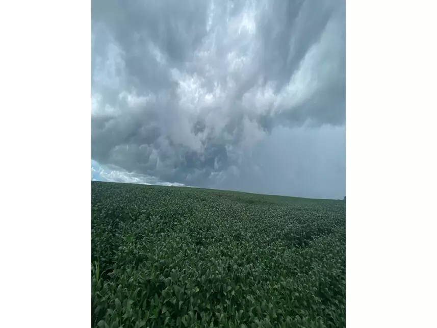 Área Rural à venda em leilão