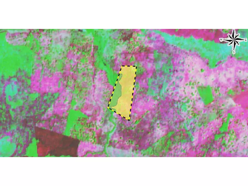 Área Rural à venda em leilão