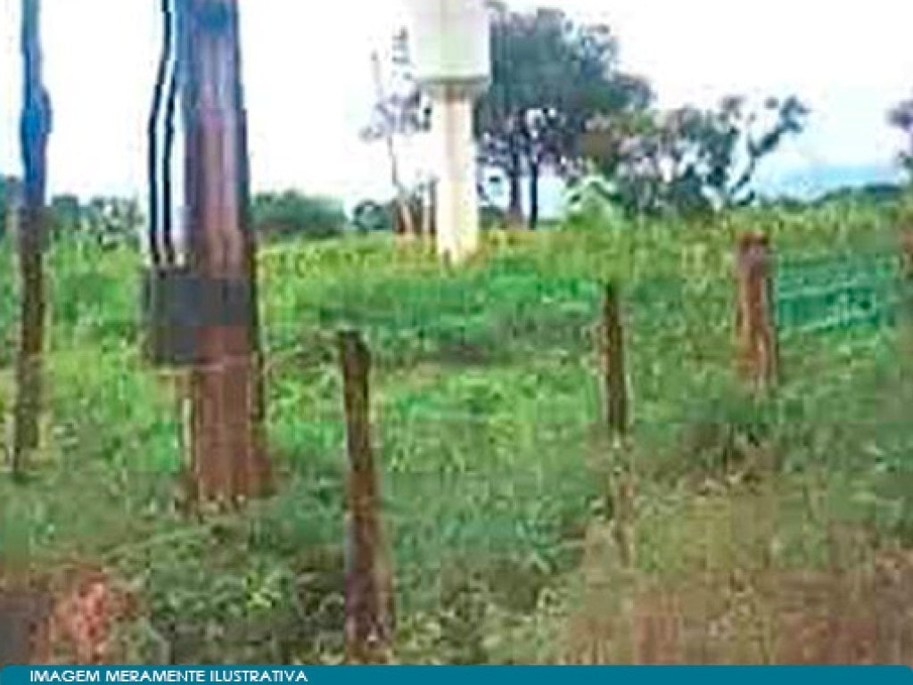 Imóvel Rural com Área de 256 ha (Fazenda Impoeira) - Flores de Goiás - GO