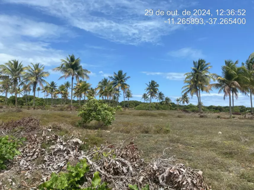 Terreno à venda em leilão