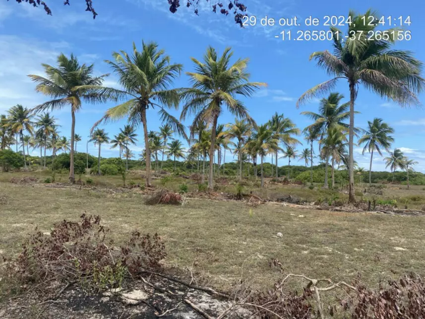 Terreno à venda em leilão