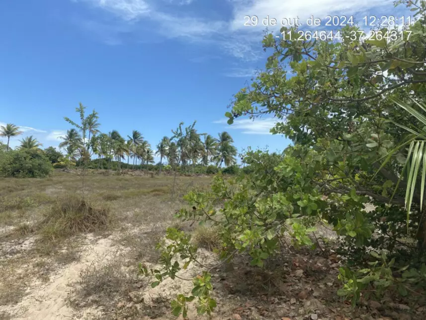 Terreno à venda em leilão