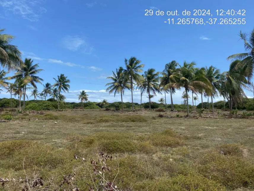 Terreno à venda em leilão
