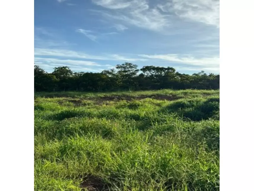 Fazenda à venda em leilão