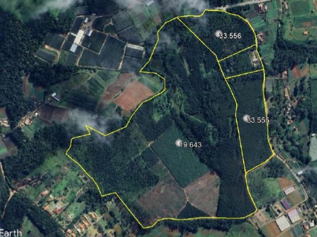 Imóvel Rural aprox. 68 ha (03 matrículas) - Capixinga - Mogi das Cruzes - SP