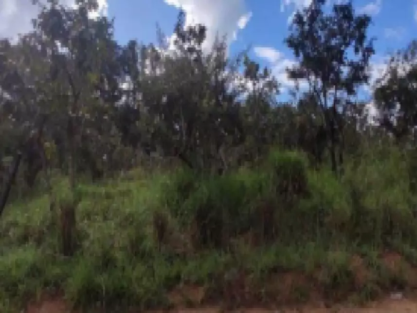 Terreno à venda em leilão