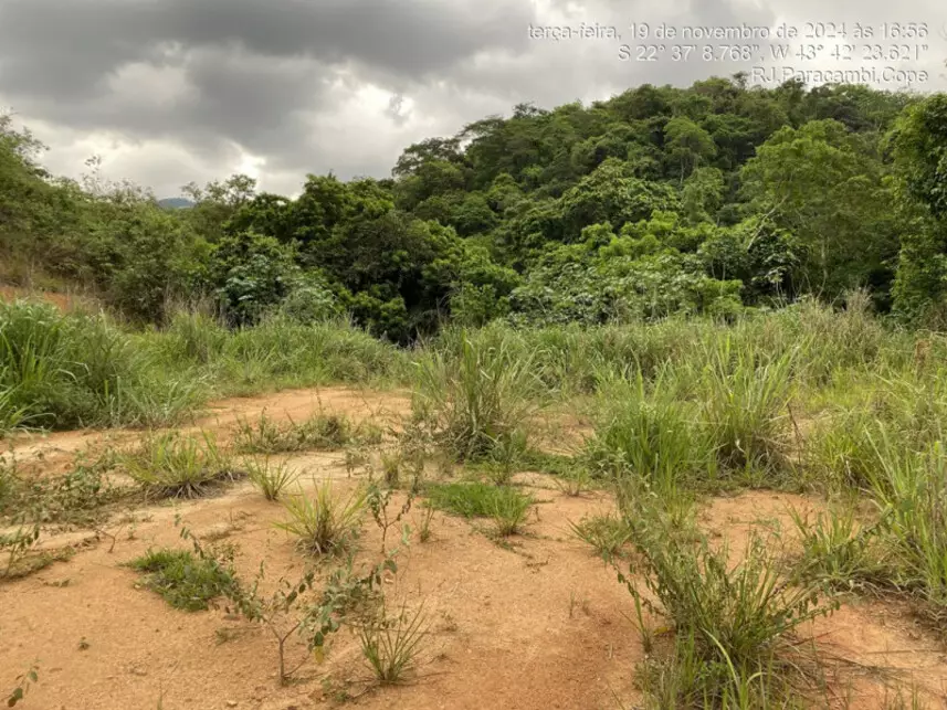 Terreno à venda em leilão