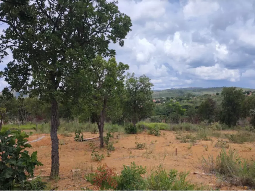 Terreno à venda em leilão