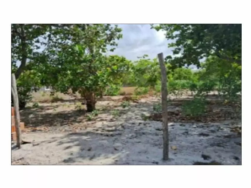 Terreno à venda em leilão