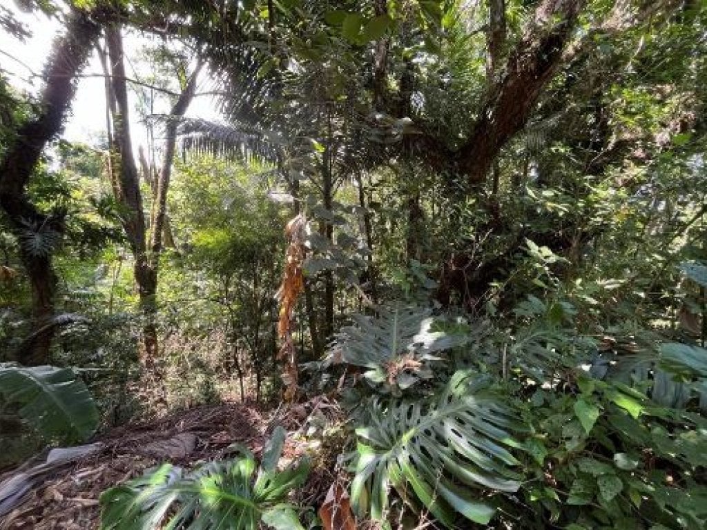 Terreno 1.227 m² no Loteamento Recanto Inpla - Carapicuíba - SP