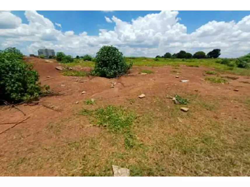 Gleba de Terras à venda em leilão