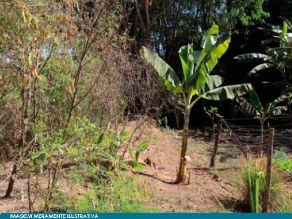 Terreno 1.413 m² - Alvorada - Araçatuba - SP