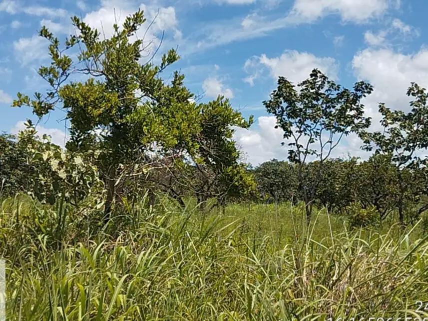 Terreno à venda em leilão