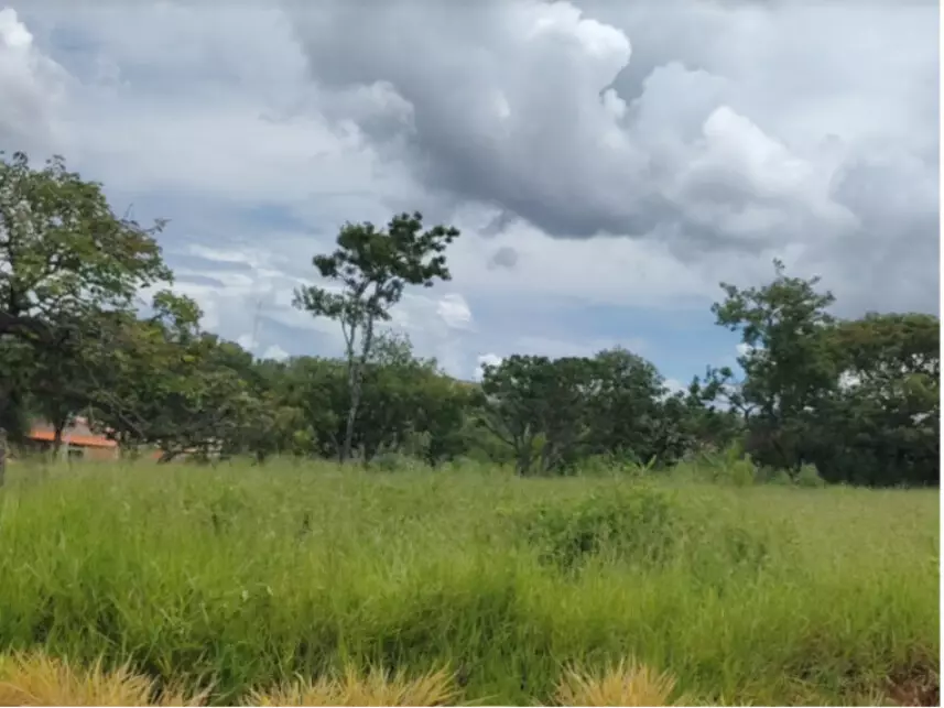 Terreno à venda em leilão
