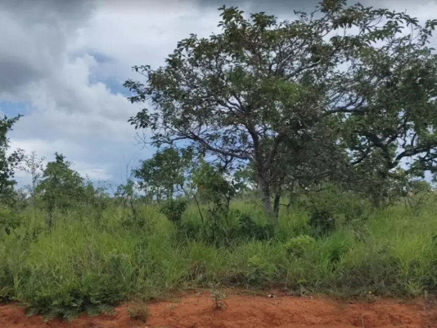 Terreno à venda em leilão