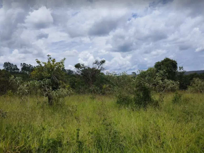 Terreno à venda em leilão
