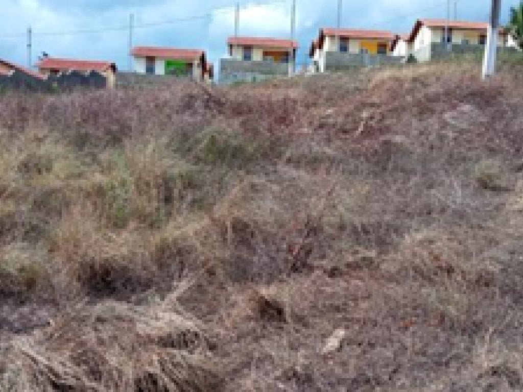 Terreno 1.440 m² - Loteamento Araruna II - Timbaúba - PE