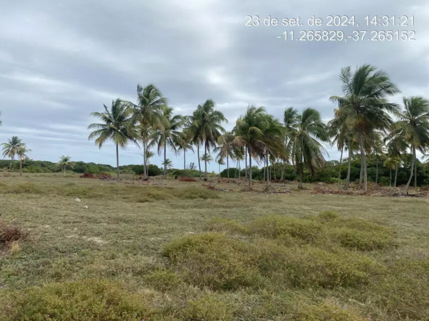 Terreno à venda em leilão